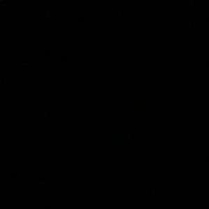 Meet your Posher, Gunner